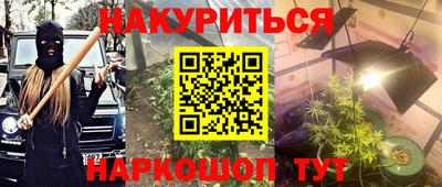 стаф Кингисепп