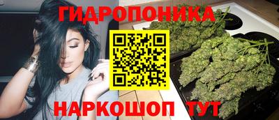 стаф Кингисепп