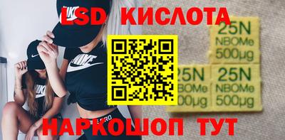 стаф Кингисепп