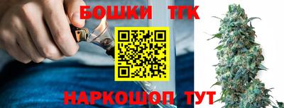 гидра Кинель