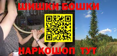 стаф Кингисепп