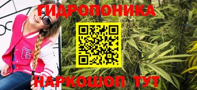 стаф Кингисепп