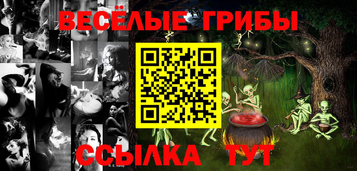 Галлюциногенные грибы MAGIC MUSHROOMS  Псилоцибиновые грибы Psilocybe  Геленджик  Вход с VPN 